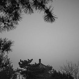 《潜行者2》全新截图 夜色虽美但行动要注意